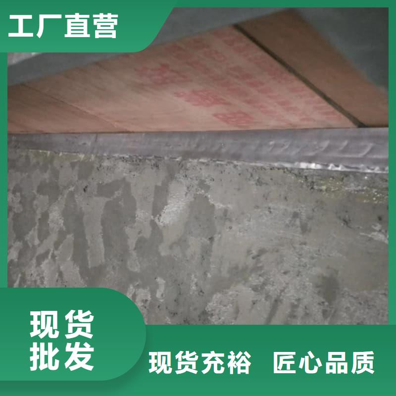 单开平移铅门、单开平移铅门厂家直销-价格实惠