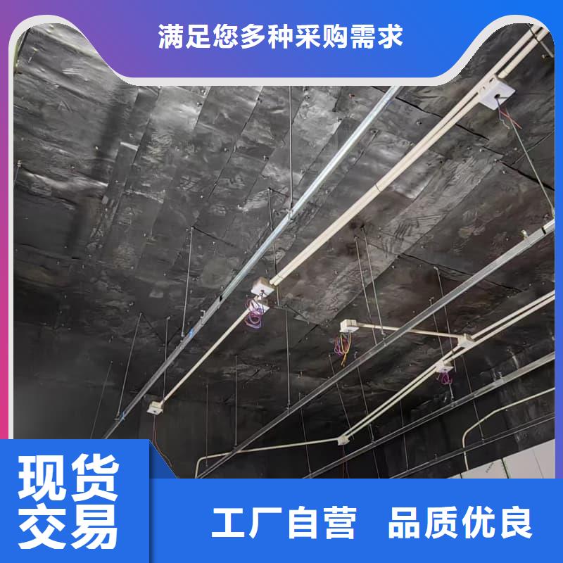 防辐射门电动装置订制