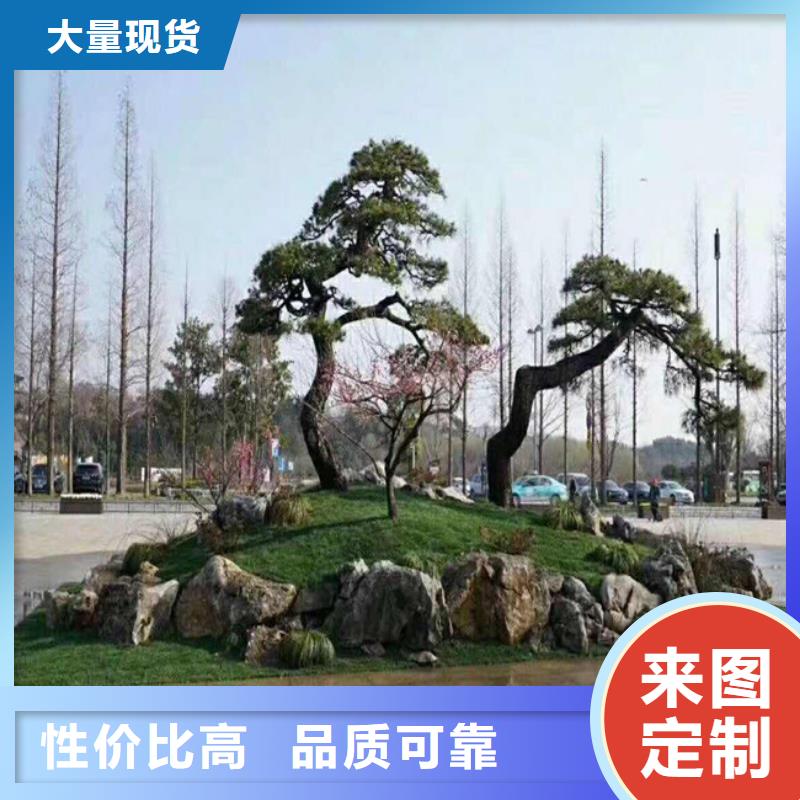 造型松古桩精心
