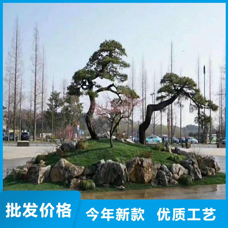 【 造型松_造型松价格质量不佳尽管来找我】-服务范围包括果洛|西宁|黄南|玉树等