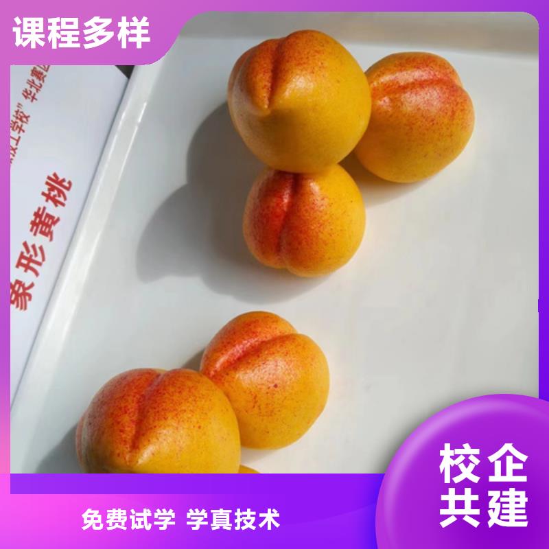 新能源汽车培训视频-新能源汽车培训|宁夏|银川