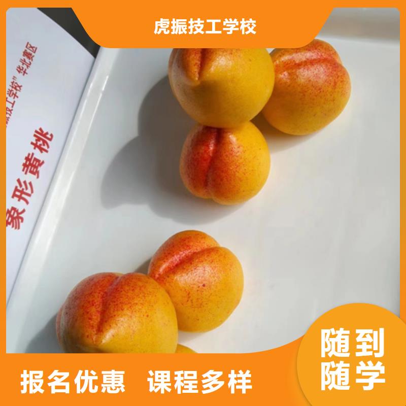 新能源汽车培训视频-新能源汽车培训-虎振技工学校(忻州市分公司)服务区域偏关|定襄|阳泉|长治|吕梁|太原|临汾