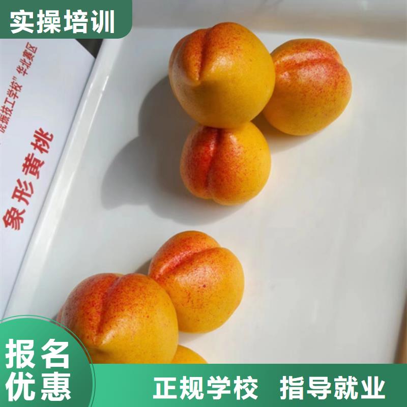 新能源汽车培训视频-新能源汽车培训(虎振)覆盖地域西藏拉萨|那曲|阿里|林芝|山南