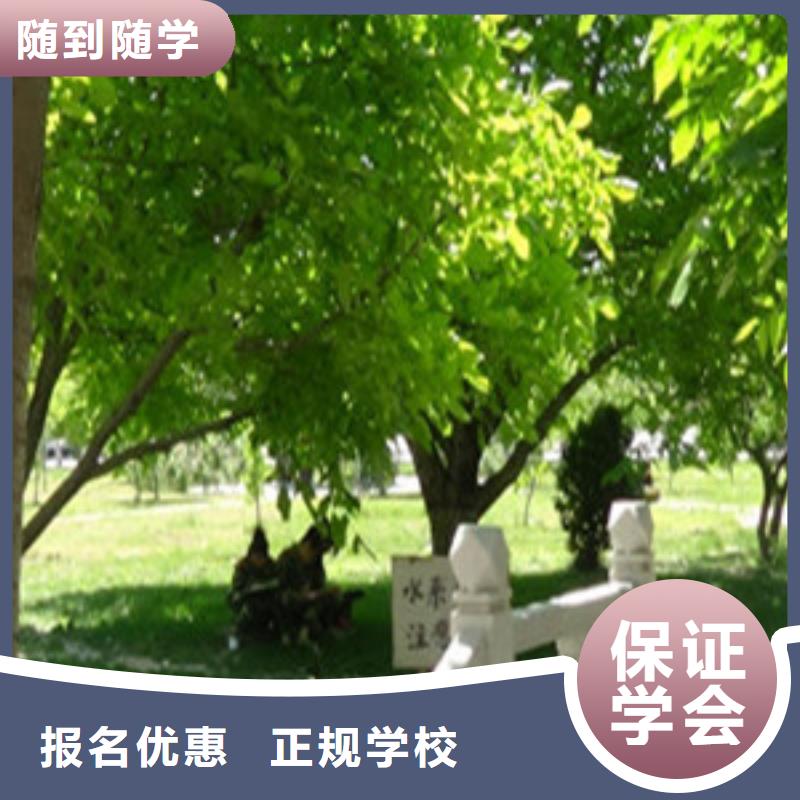 单招培训理论+实操