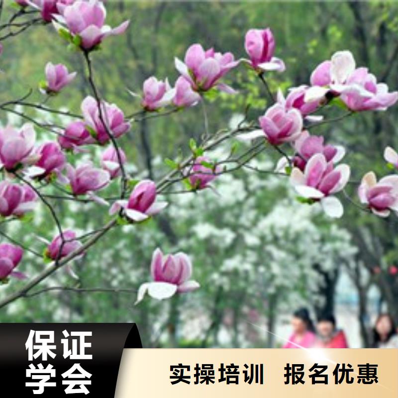 新能源汽车培训视频-新能源汽车培训|内蒙古呼伦贝尔市|通辽|阿拉善|包头|兴安|乌海