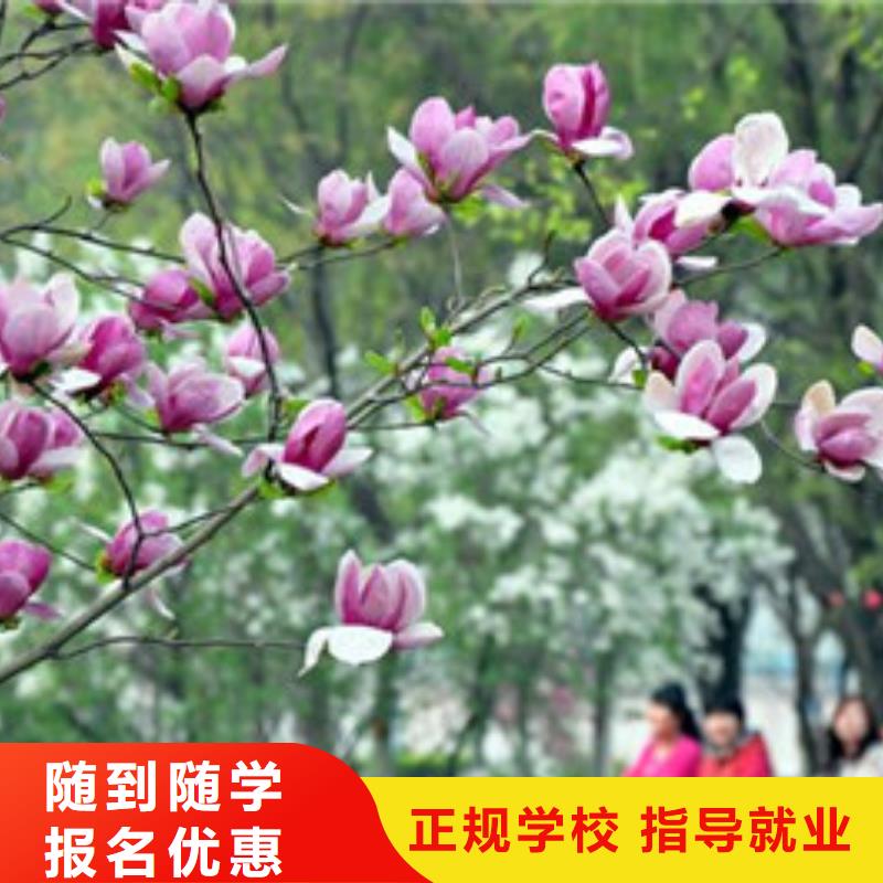 单招培训报名优惠