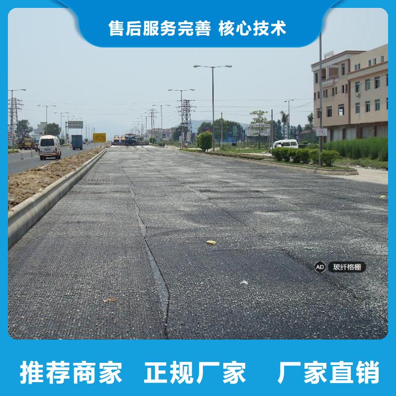 玻纤土工格栅城建土工膜诚信厂家
