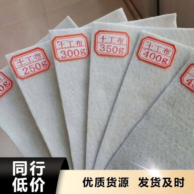 工程防水聚酯长丝布新国标聚酯长丝土工布厂家直销涤纶长丝布