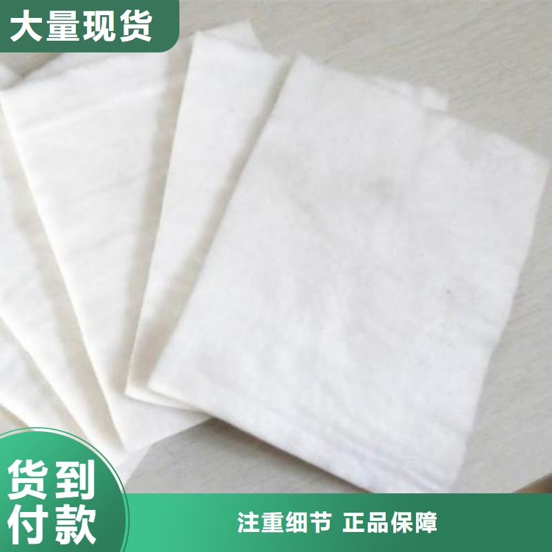 工程防水聚酯长丝布新国标聚酯长丝土工布厂家直销涤纶长丝布