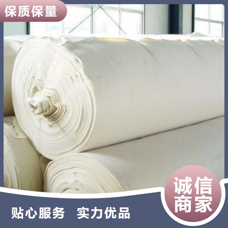 土工布塑料土工滤网诚信厂家