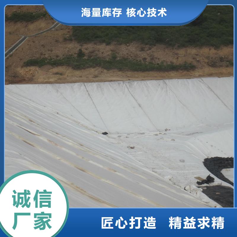 HDPE土工膜视频-HDPE土工膜(恒丰)覆盖地域黑龙江省齐齐哈尔市昂昂溪|依安|佳木斯|黑河|牡丹江|大兴安岭