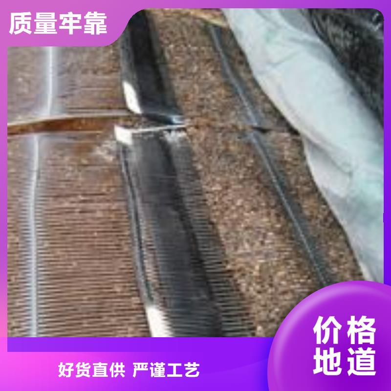 单向塑料土工格栅无纺布支持定制