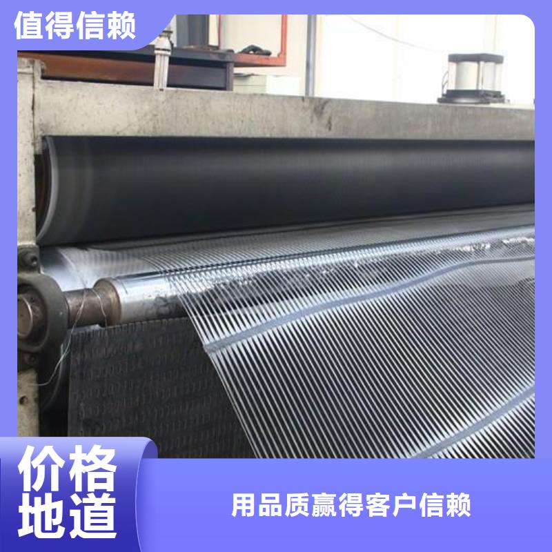 单向塑料土工格栅无纺布支持定制