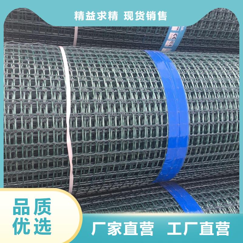 双向塑料土工格栅HDPE土工膜优势