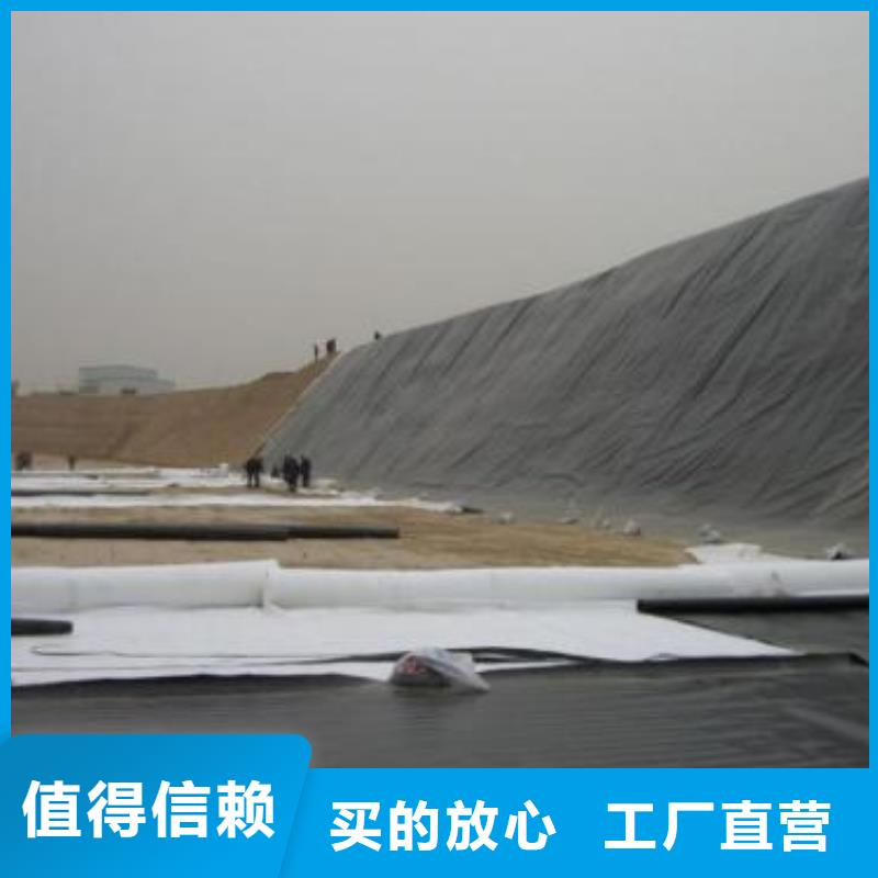 【 土工膜双向拉伸塑料格栅专注细节更放心】_恒丰塑业(黔南市分公司)