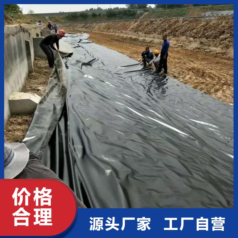 土工膜,玻纤土工格栅匠心打造