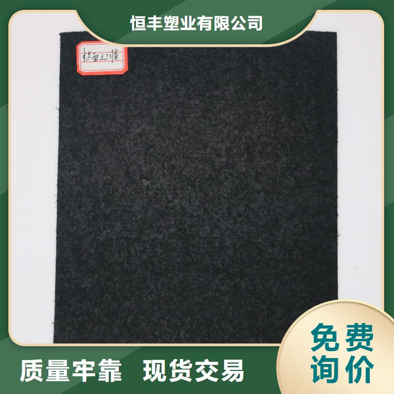 土工膜,玻纤土工格栅匠心打造
