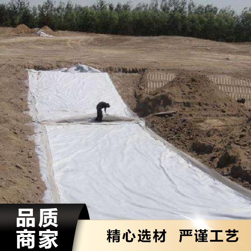 HDPE土工膜视频-HDPE土工膜-河北省邯郸市(此地)供应商-永年|广平|秦皇岛|张家口|邢台|石家庄|唐山|衡水|廊坊