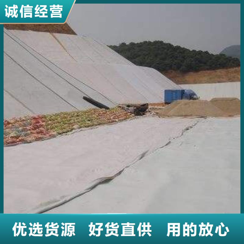 复合土工膜,【防渗膜】海量货源同城生产厂家