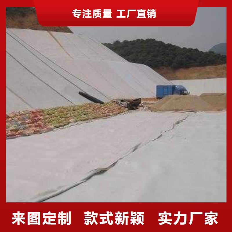 复合土工膜HDPE土工膜批发商