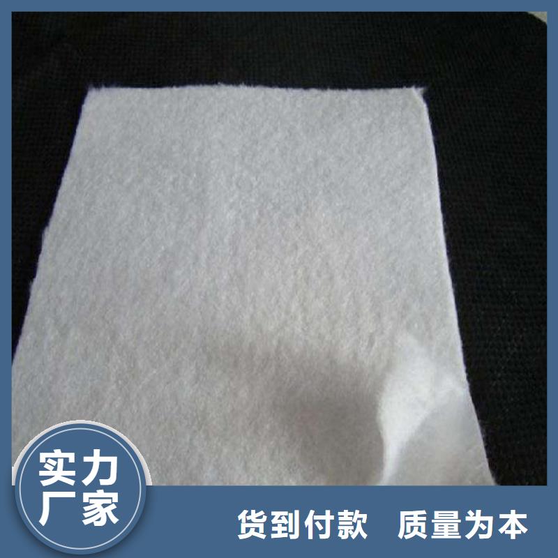 复合土工膜HDPE土工膜批发商
