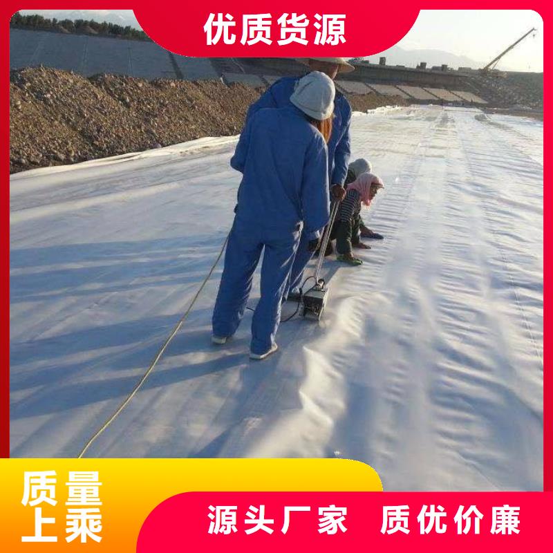 复合土工膜HDPE土工膜价格公道合理