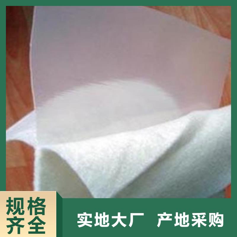 复合土工膜HDPE土工膜价格公道合理