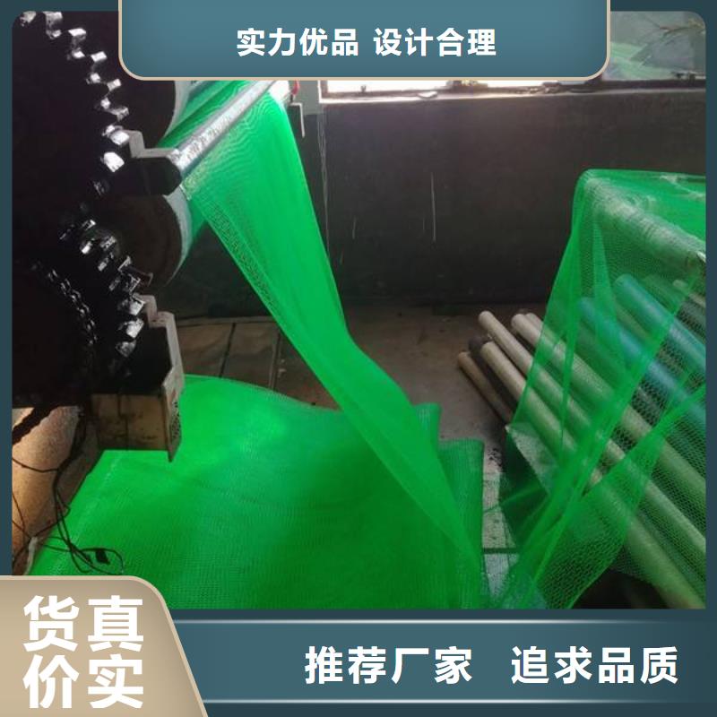 三维植被网复合土工膜源头厂家经验丰富