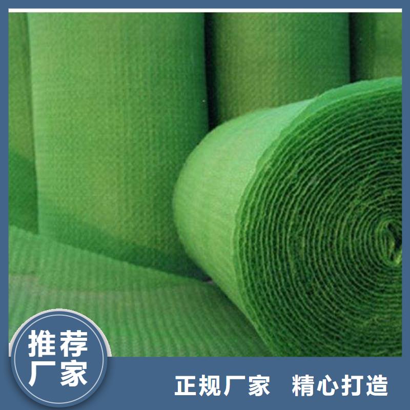 三维植被网短丝土工布专业信赖厂家