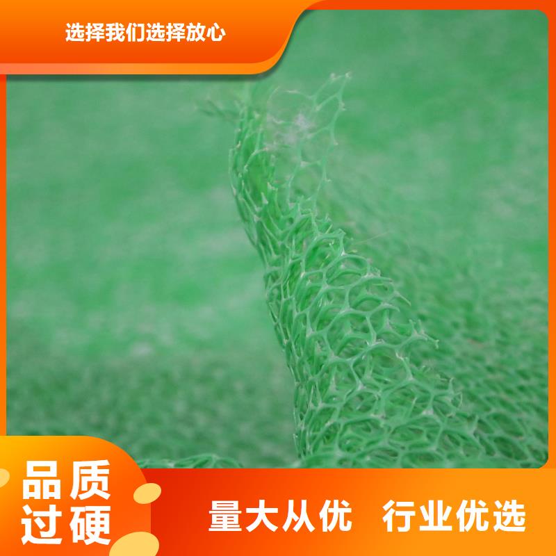 三维植被网复合土工膜源头厂家经验丰富