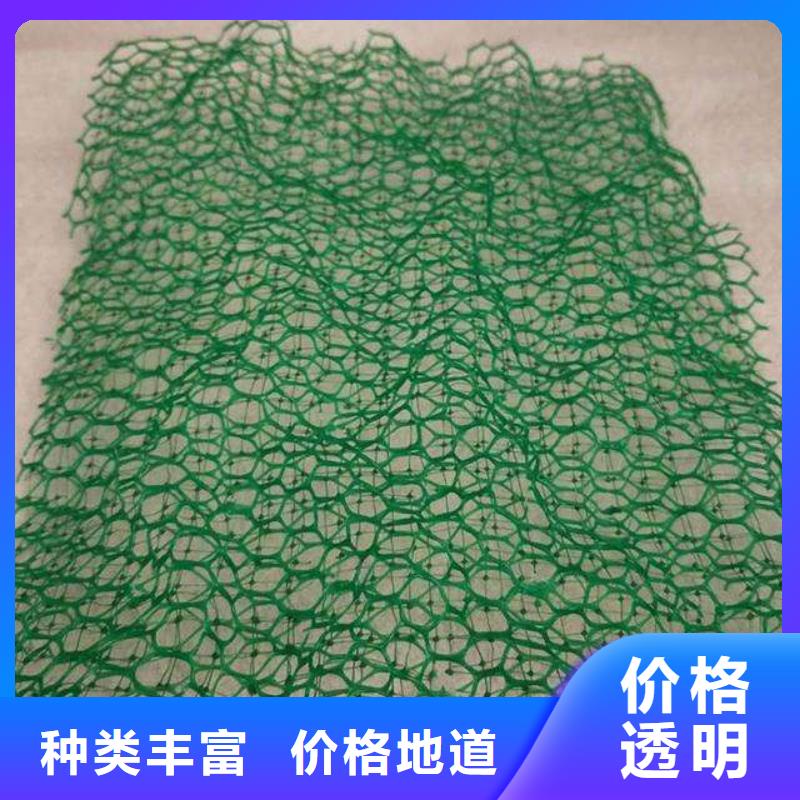 三维植被网复合土工膜源头厂家经验丰富