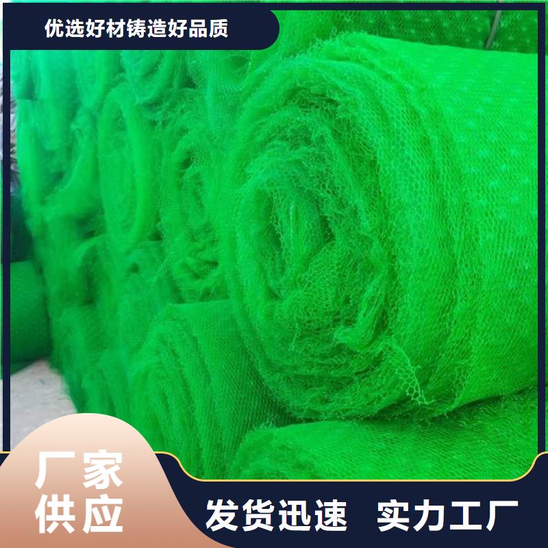 三维植被网复合土工膜源头厂家经验丰富