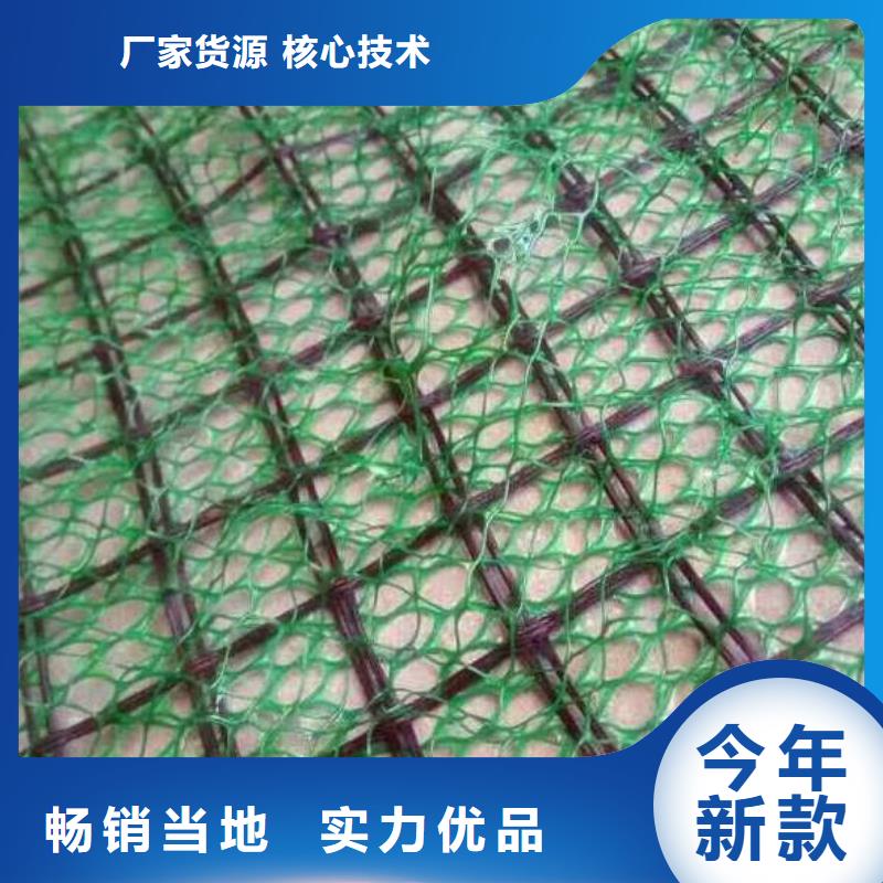三维植被网-凸结点钢塑土工格栅专注细节专注品质