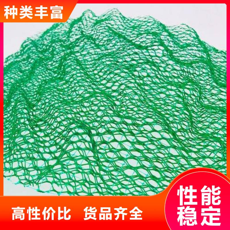 三维植被网-凸结点钢塑土工格栅专注细节专注品质