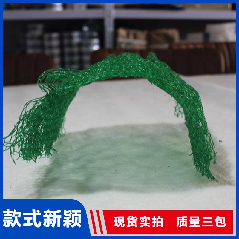 【 三维植被网-双向拉伸塑料格栅生产经验丰富】