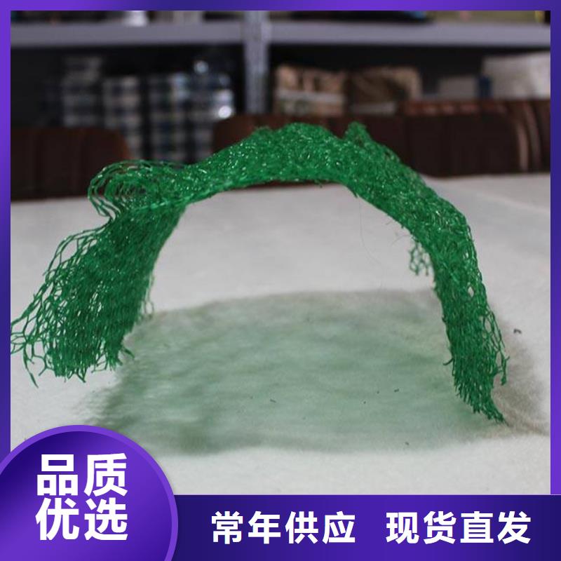 【 三维植被网_PP焊接土工格栅现货销售】当地公司