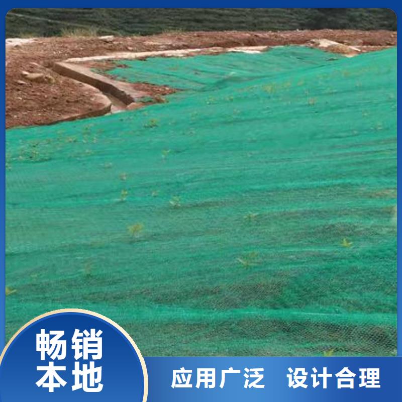 三维植被网短丝土工布专业信赖厂家