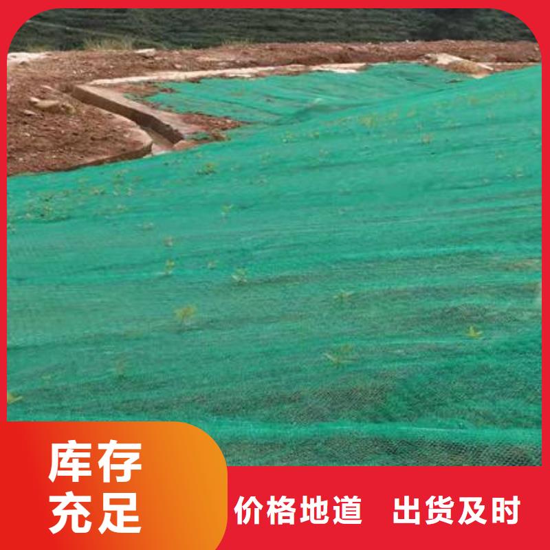 三维植被网-凸结点钢塑土工格栅专注细节专注品质
