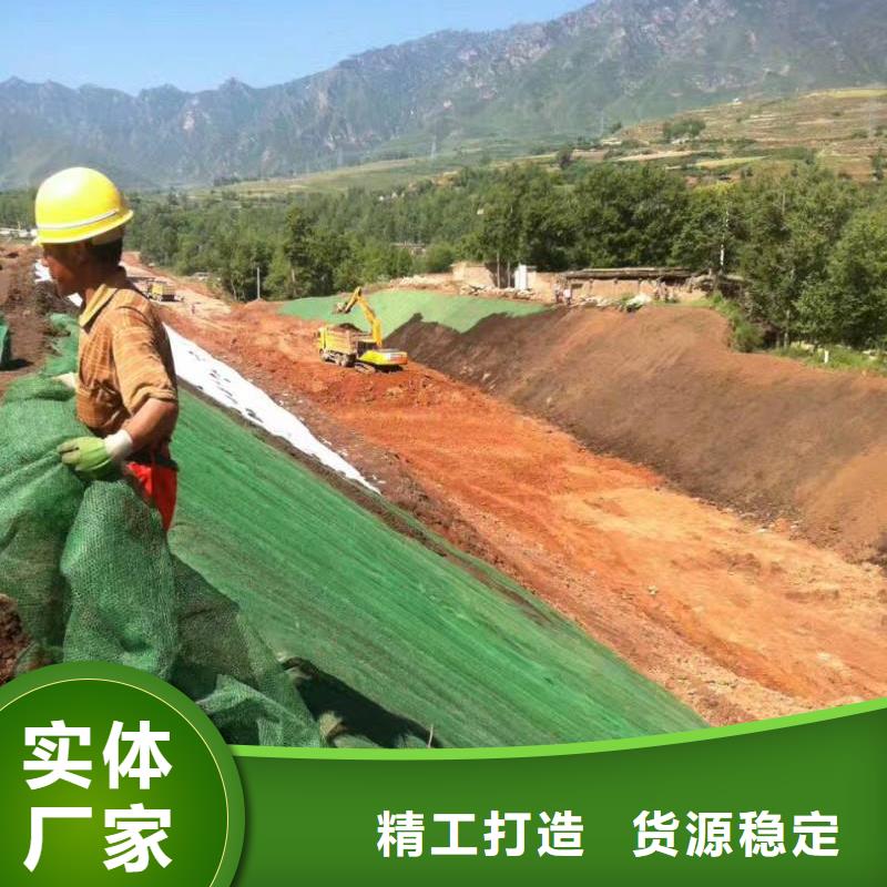 三维植被网复合土工膜源头厂家经验丰富