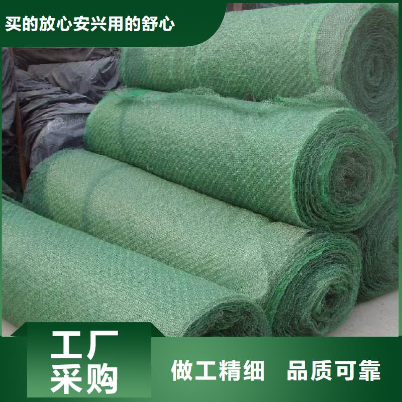 三维植被网-凸结点钢塑土工格栅专注细节专注品质