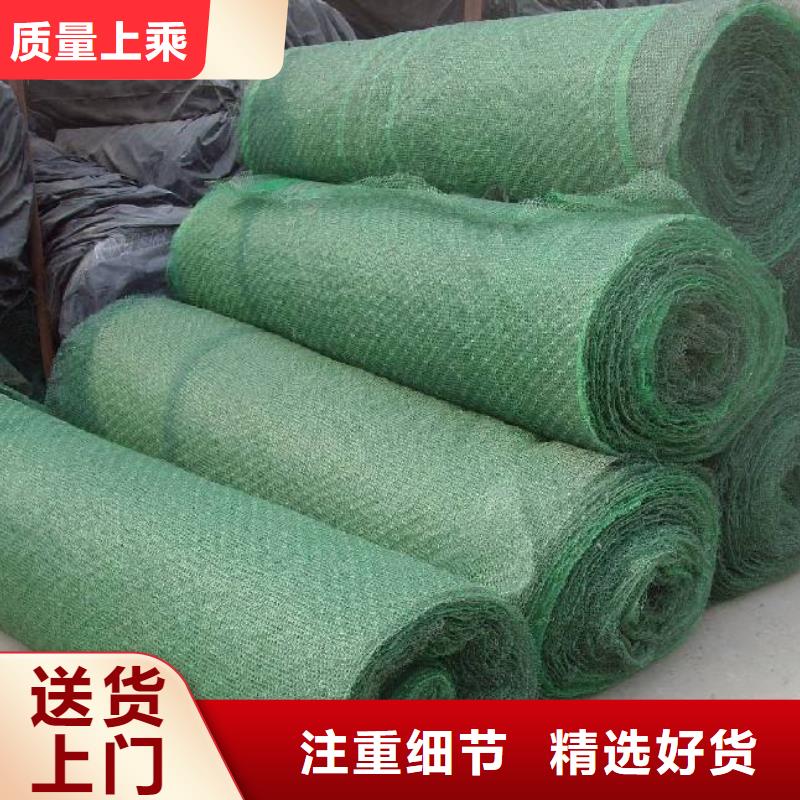 三维植被网复合土工膜源头厂家经验丰富