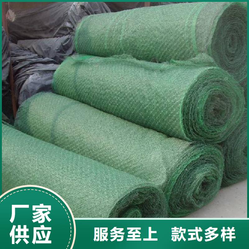 三维植被网复合土工膜源头厂家经验丰富