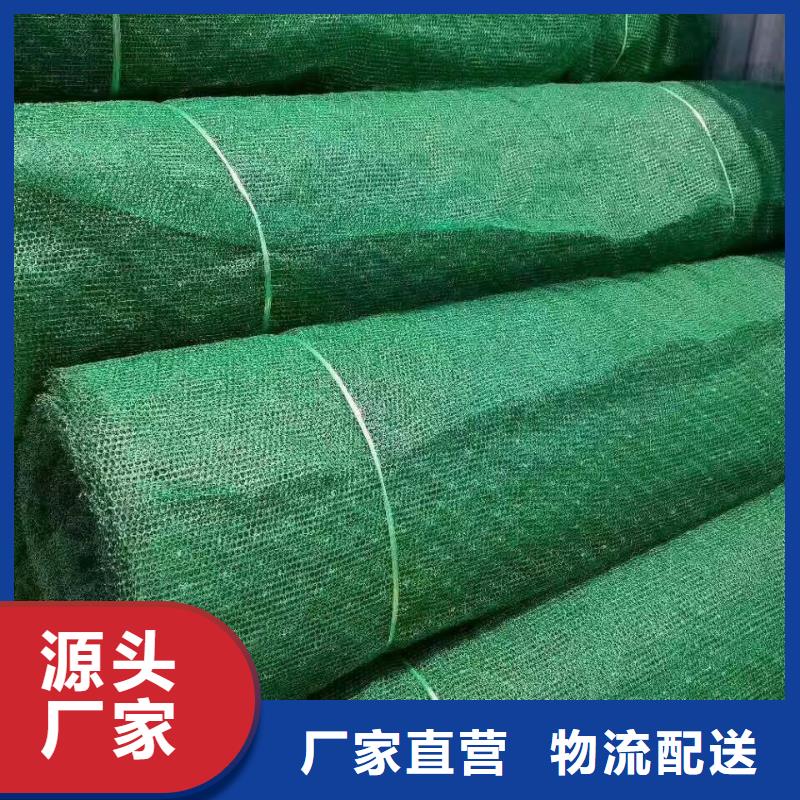 三维植被网-凸结点钢塑土工格栅专注细节专注品质