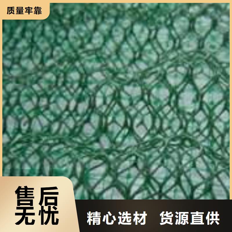 【 三维植被网_PP焊接土工格栅现货销售】当地公司