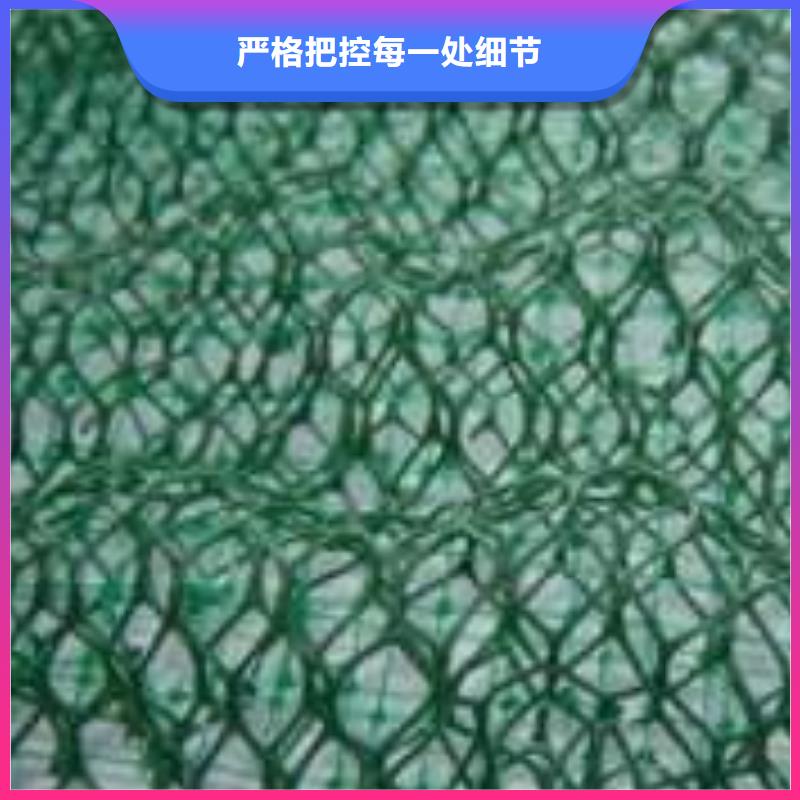 三维植被网复合土工膜源头厂家经验丰富