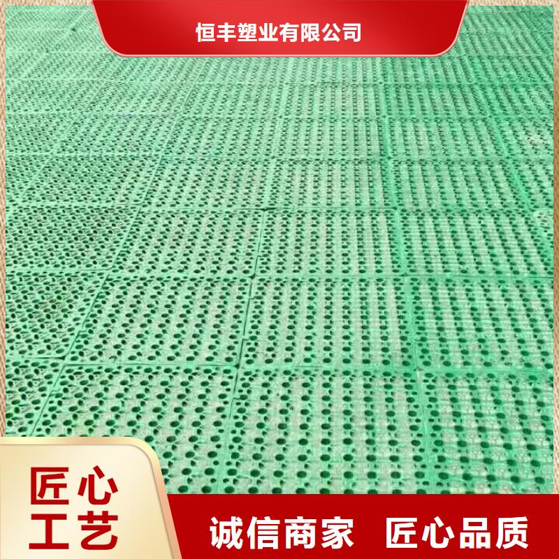 三维植被网短丝土工布专业信赖厂家
