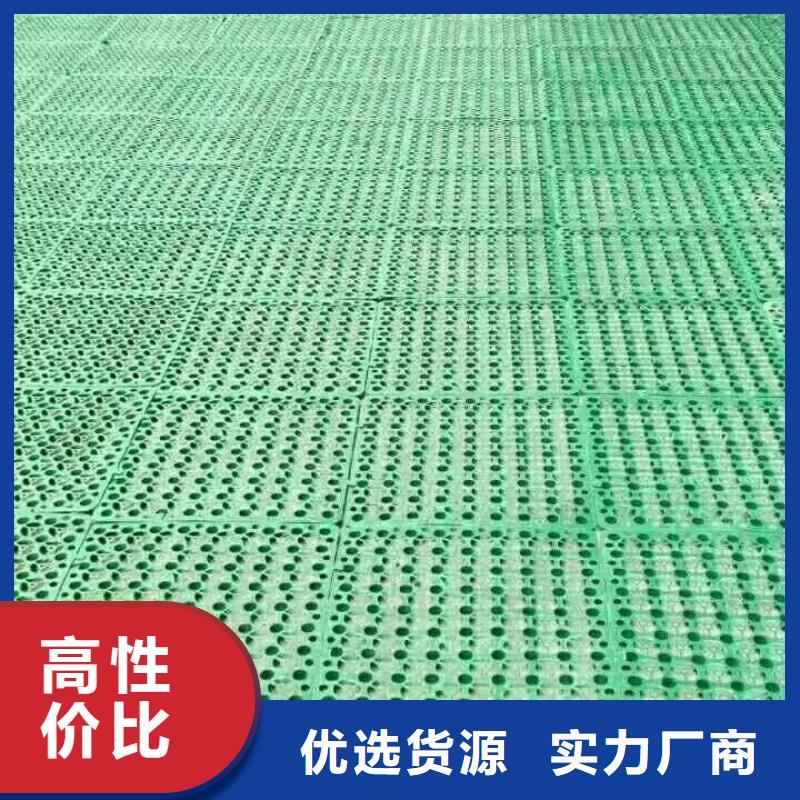 【 三维植被网_PP焊接土工格栅现货销售】当地公司
