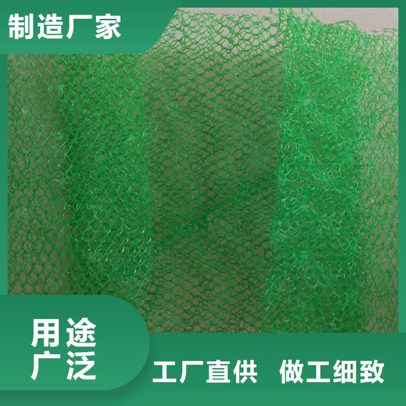 【 三维植被网_PP焊接土工格栅现货销售】当地公司