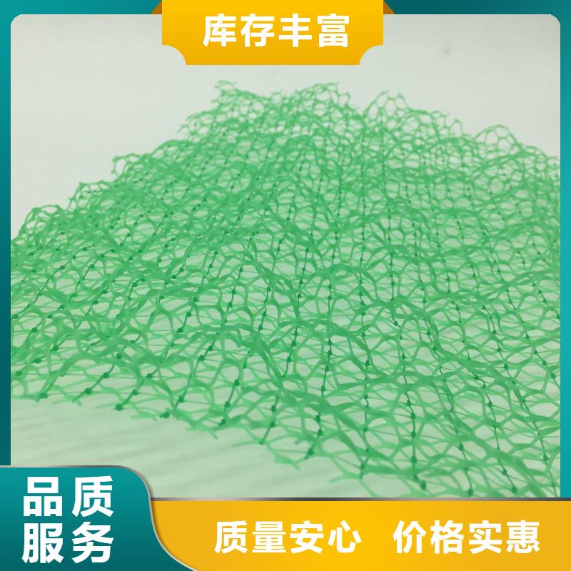 三维植被网短丝土工布专业信赖厂家