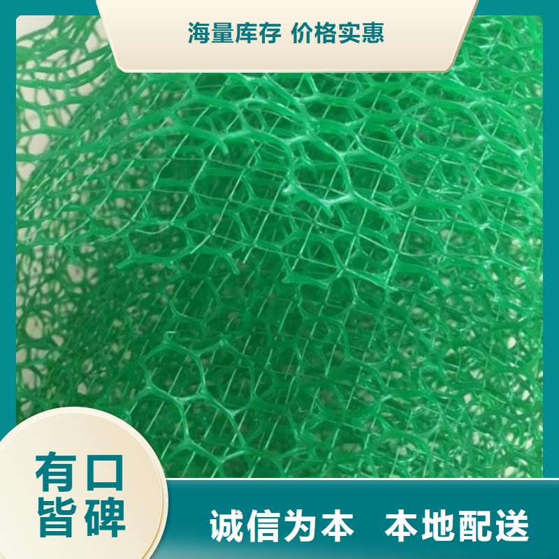 三维植被网复合土工膜源头厂家经验丰富